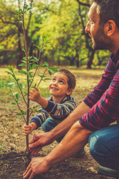 Giving a new life. Cheerful little boy helping his father to plant the tree while working together in the garden