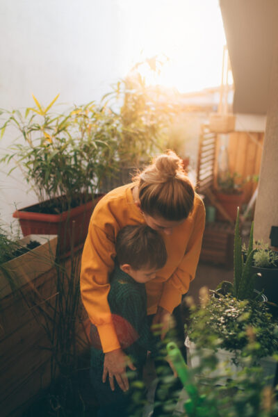 Our terrace garden Little boy is helping his mother to care and nurture their terrace garden plants